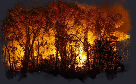 Diariamente, o Corpo de Bombeiros atua para apagar incndios florestais em MT