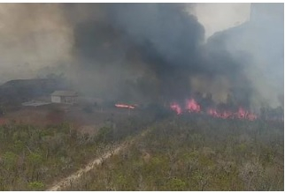 O crime destruiu a vegetao da rea em uma propriedade rural na regio do distrito de Aguau, em Cuiab