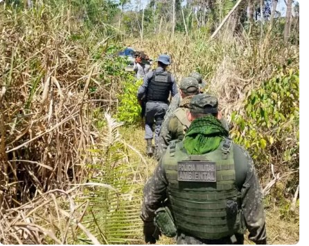 Ao contra desmatamento em Colniza (MT)  Foto: PMMT