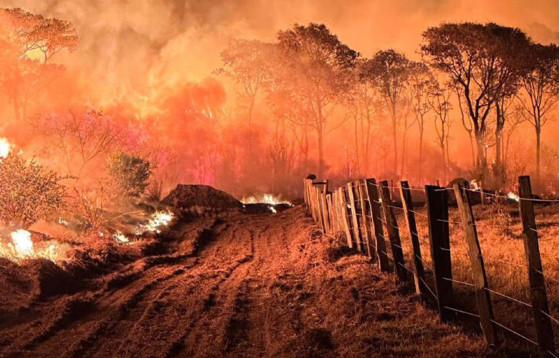 Queimadas na regio do Pantanal