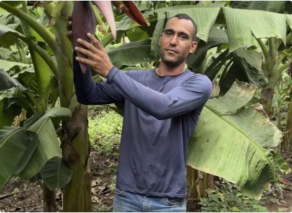 Produtores que possuem imveis rurais de at quadro mdulos fiscais podem participar  Foto: Secom- MT