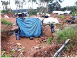 rea de garimpo ilegal em Aripuan, no Noroeste de MT: alm da violncia, regio vice surto de malria