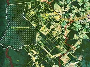 Terra indgena est localizada em Brasnorte, em MT