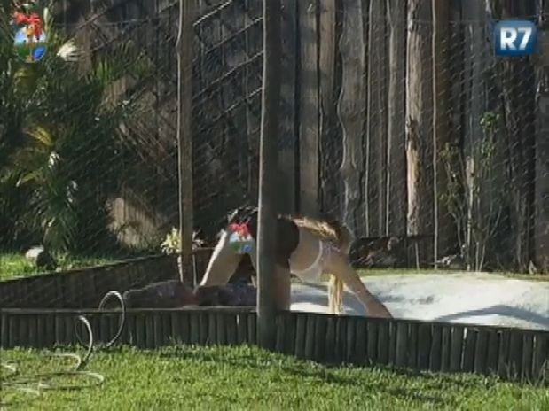 Ao cuidar das aves, a drag queen acabou mostrando demais