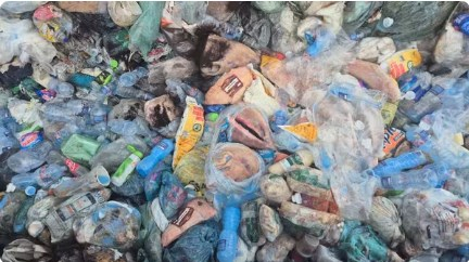 Supermercado de Sorriso  alvo de fiscalizao aps denncia de venda de carnes vencidas  Foto: Reproduo