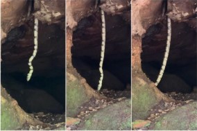 O v�deo, feito no �ltimo s�bado (7), viralizou nas redes sociais com mais de 6 milh�es de visualiza��es