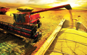 Conab aponta para uma safra de 178 milh�es de toneladas de soja, aumento de 6,5 milh�es de toneladas