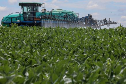 Com volumes que ultrapassam 50 milh�es de toneladas por safra, o estado se consolida como o maior produtor de soja do Brasil