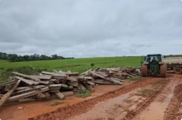 Fazendeiro � multado por armazenar ilegalmente lascas de ita�ba em MT � Foto: Sema-MT