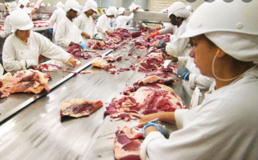 No setor de carnes, o cen�rio � mais favor�vel para o Brasil. A not�cia � particularmente positiva para MT