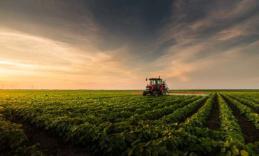 O custeio da soja para a safra 2026/27 dever� atingir R$ 4.315,29 por hectare, alta de 3,21% em rela��o ao ciclo anterior