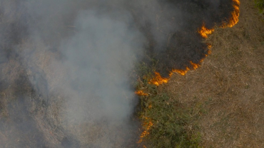 Em Mato Grosso e na maior parte da Amazônia, Cerrado e Pantanal, a maioria dos incêndios ocorrem em pastagens