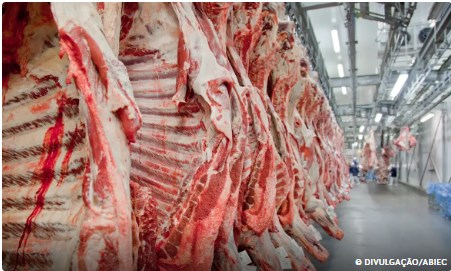 J� para a carne bovina o cen�rio foi negativo. As exporta��es ca�ram 5,8% no m�s, totalizando US$ 1,45 bilh�o. O principal motivo foi a forte redu��o na quantidade exportada, que recuou 17,7% na compara��o anual, caindo para 227,94 mil toneladas.