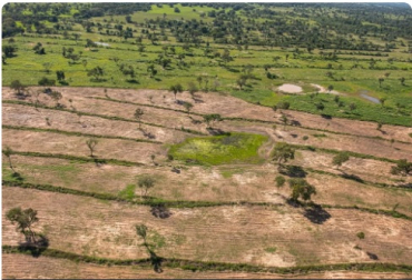 Mato Grosso registrou alta de 26,73% no desmatamento na Amaz�nia Legal