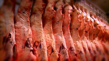 Produ��o bovina cresce 8,88% no primeiro semestre, mais que o dobro da m�dia brasileira