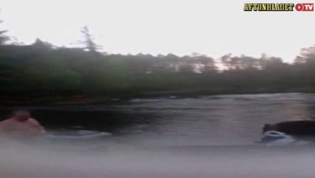 Ola kesson levou um susto ao se deparar com um urso a poucos metros de distncia.