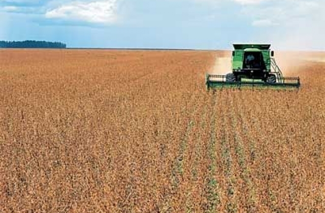 Quatro municpios de Mato Grosso so recordistas em produo agrcola