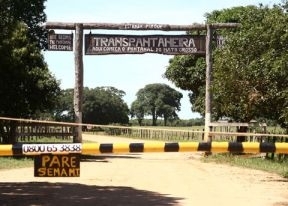 Ao longo dos 145 Km da Estrada Transpantaneira existem 123 pontes de madeira que precisam de manuteno constante