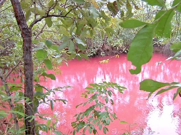 A gua do aude de uma propriedade rural de Cuiab amanheceu vermelha (Foto: Reproduo /TVCA)