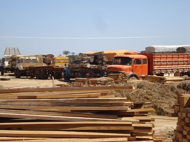 Carregamento de madeira apreendida  doado para parque de Braslia (Foto: Divulgao / Ibama)