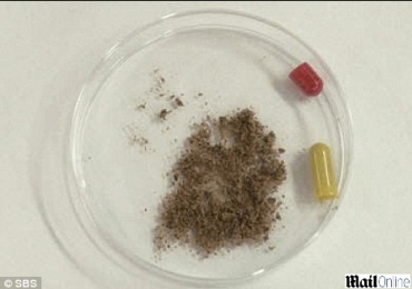 Mais de 17 mil cpsulas com carne humana foram descobertas na Coreia do Sul