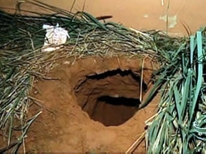 PM diz que torres de pres�dio estavam vazias na fuga de 36 presos de MT