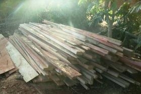 Madeiras foram apreendidas pelos policiais