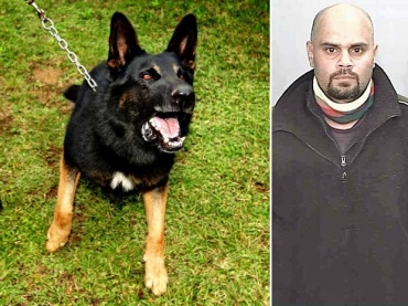 Um c�o policial chamado �Chuck� ajudou na captura do fugitivo Malcolm Naden.