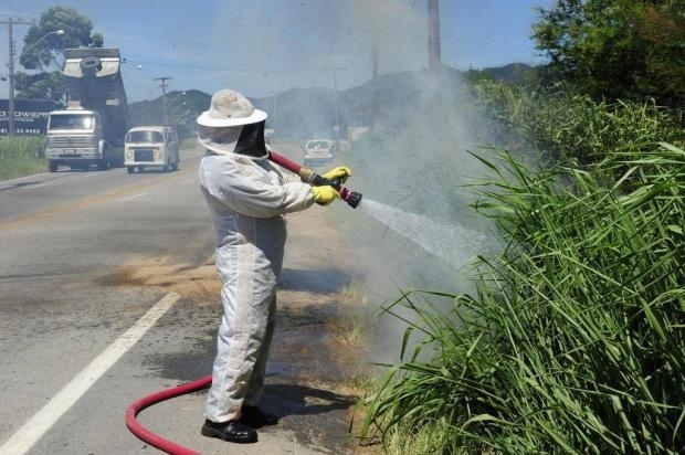 Bombeiros tentaram controlar o ataque de abelhas