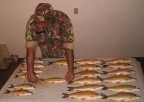 Peixes estavam fora da medida permitida pela legislao
