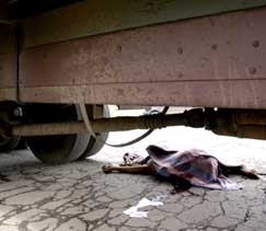 Atropelamento ou suic�dio: pol�cia tenta descobrir o que aconteceu com o comerciante Luiz Fontes