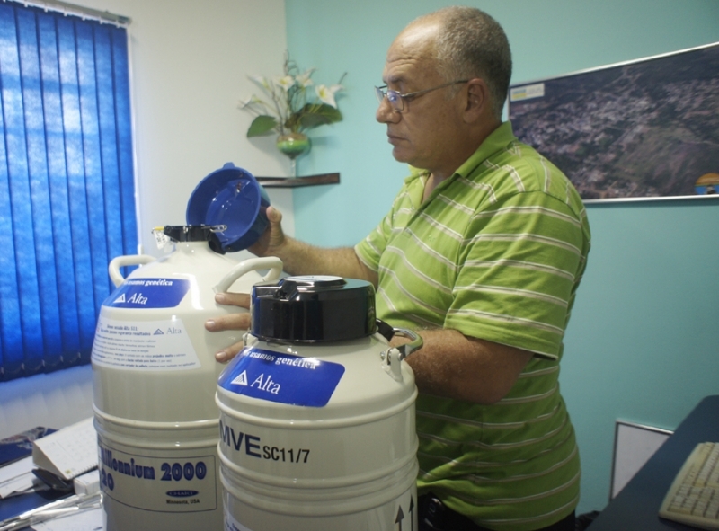 Secretrio assegura que em breve iniciar a inseminao artificial em bovinos