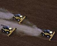 A agropecuria, cujo desempenho superou o observado em 2011, levou o Caged mato-grossense a novos recordes