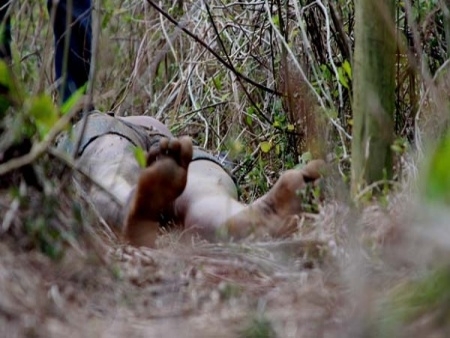 Acidente que matou os policiais Joo Osni e Edson Leite: a ao at hoje no foi esclarecida