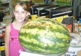 Melancia supera no centro agropecurio.