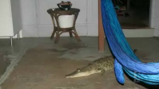 Famlia australiana levou um susto aps encontrar crocodilo de 1,7 metro na sala de estar.