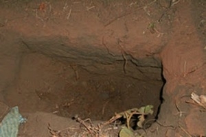 Feto foi encontrado em buraco por moradores de Senador S�