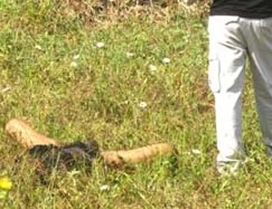 Primeira execuo de 2012 ocorreu no comeo da noite de ontem, no Cristo Rei, em VG 