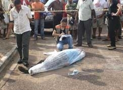 Homicdios: nmero de assassinatos caiu no Estado e na Capital, mas em Vrzea Grande houve um salto