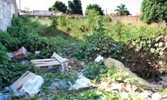 Terrenos baldios em Cuiab: eles esto em toda a parte da cidade - e so um convite ao mosquito transmissor da dengue