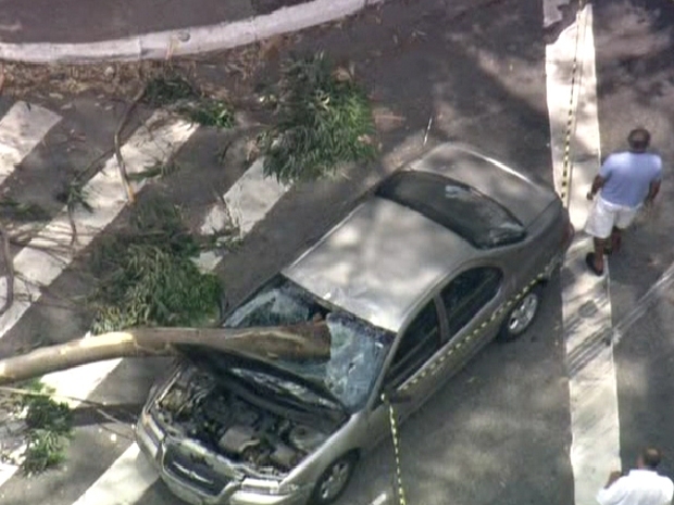 Galho de �rvore atingiu ve�culo na Avenida Giovanni Gronchi, no Morumbi.