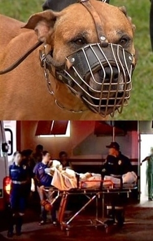 Jovem ficou com rosto desfigurado e co passou a usar focinheira.