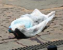 Jovem  assassinado com trs tiros na cabea: para PM,  acerto 