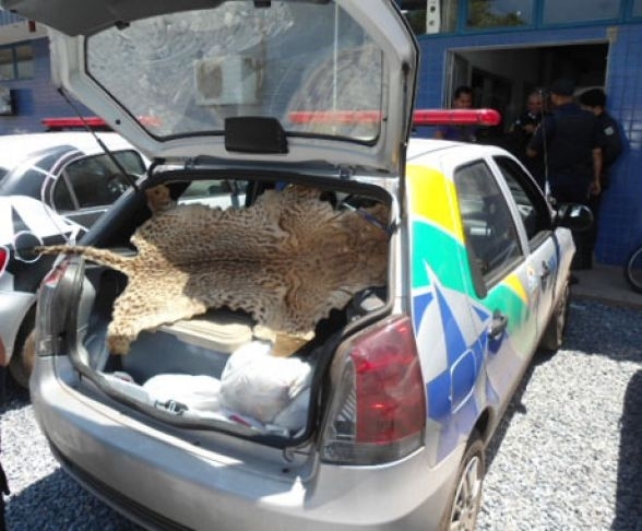 Aps roubarem um ciclista, assaltantes foram presos e com eles encontrados vrios objetos, incluindo pescado e um couro