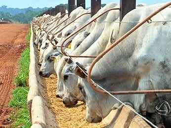 Imea aponta que valores cresceram junto com custos na produo. (Foto: Reproduo/TVCA)