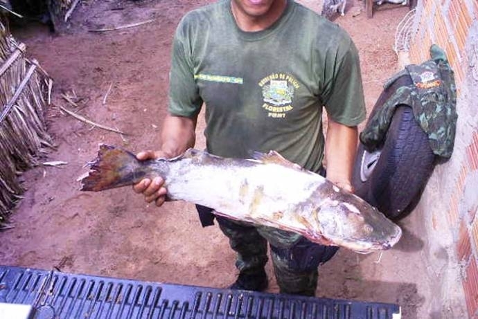 Durante a piracema, fica proibida qualquer atividade de pesca profissional, inclusive o uso de redes