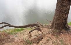 Constatao foi feita pela Defesa Civil de Cuiab em conjunto com UFMT e bombeiros nesta semana para produo de levanta