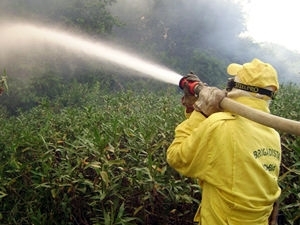 Combate ao incndio que ameaa a Estao Ecolgica de Taiam