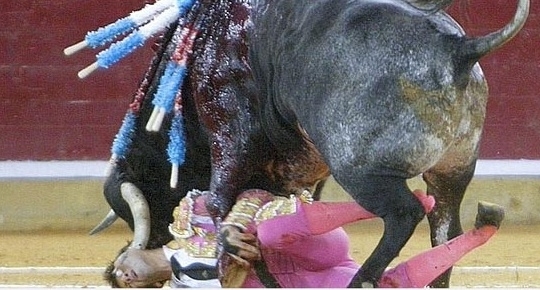 Fot�grafo flagrou o momento em que Padilla sofreu o grave ferimento