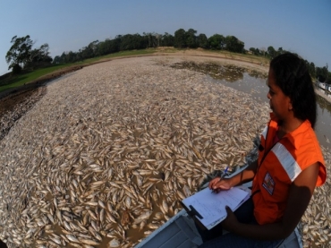 Cat�strofe registrada na seca de 2009 no munic�pio de Manaquiri AM 